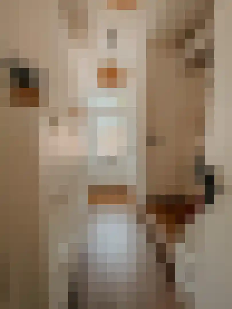 Verhulststraat 40 Eindhoven thumbnail 5