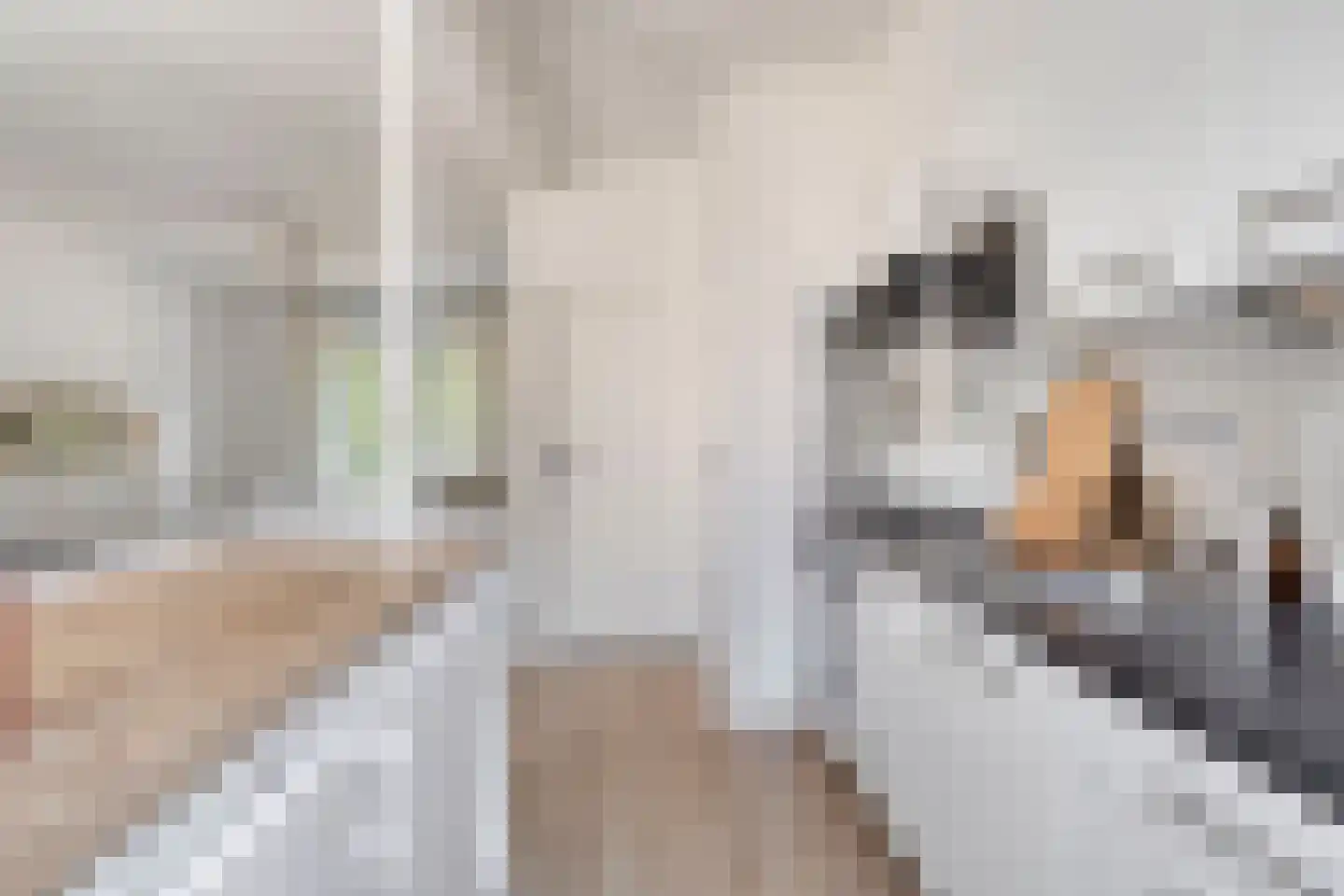 Verhulststraat 40 Eindhoven thumbnail 9