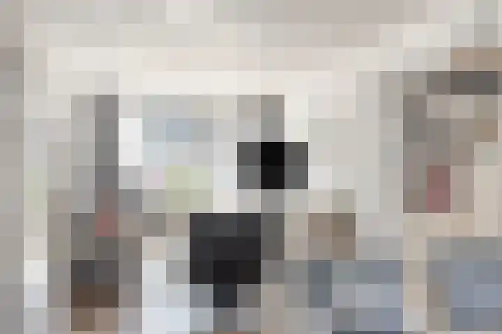 Verhulststraat 5 Elst thumbnail 16