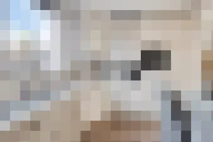 Verhulststraat 5 Elst thumbnail 17