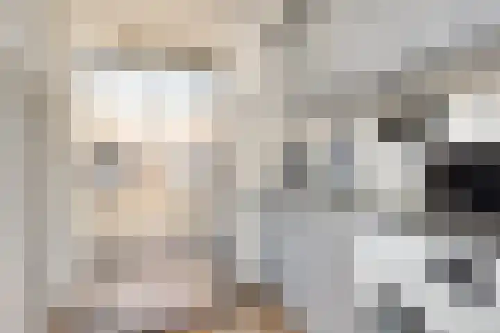 Verhulststraat 5 Elst thumbnail 20