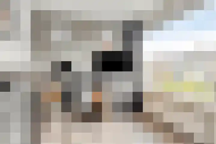 Verhulststraat 5 Elst thumbnail 29