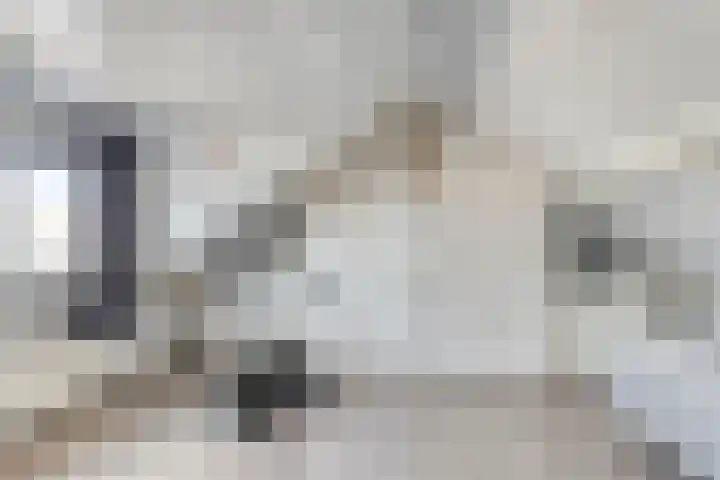 Verhulststraat 5 Elst thumbnail 34