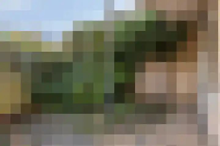 Verhulststraat 82 Dordrecht thumbnail 8