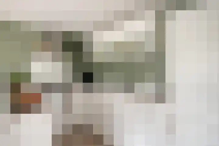 Verhulststraat 84 Zwolle thumbnail 14