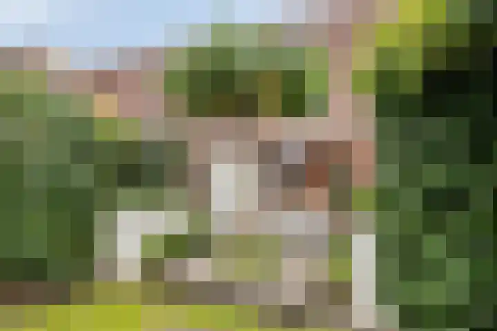 Verhulststraat 84 Zwolle thumbnail 36