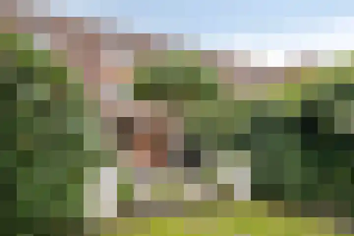 Verhulststraat 84 Zwolle thumbnail 37