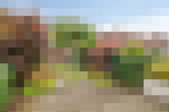 Verhulststraat 84 Zwolle thumbnail 38