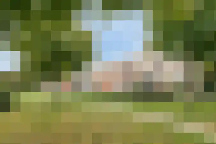 Verhulststraat 84 Zwolle thumbnail 4