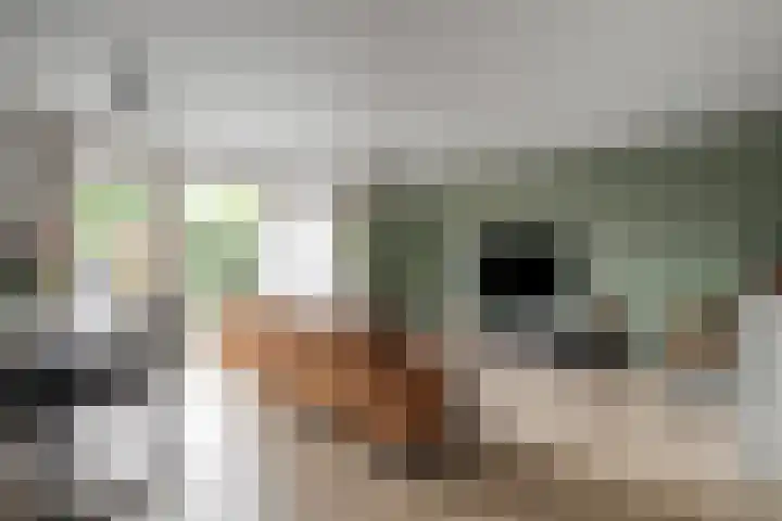 Verhulststraat 84 Zwolle thumbnail 7