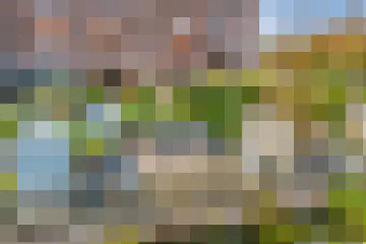 Verhulststraat 96 Zwolle thumbnail 33