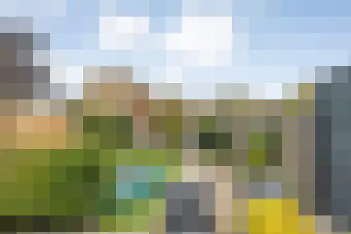 Verhulststraat 96 Zwolle thumbnail 36