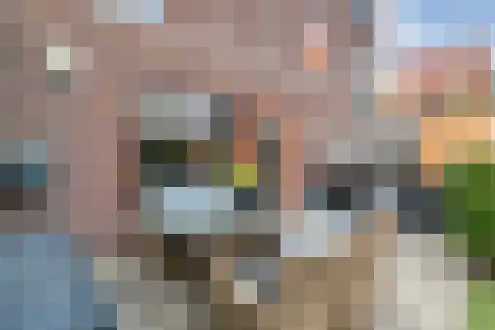 Verhulststraat 96 Zwolle thumbnail 38