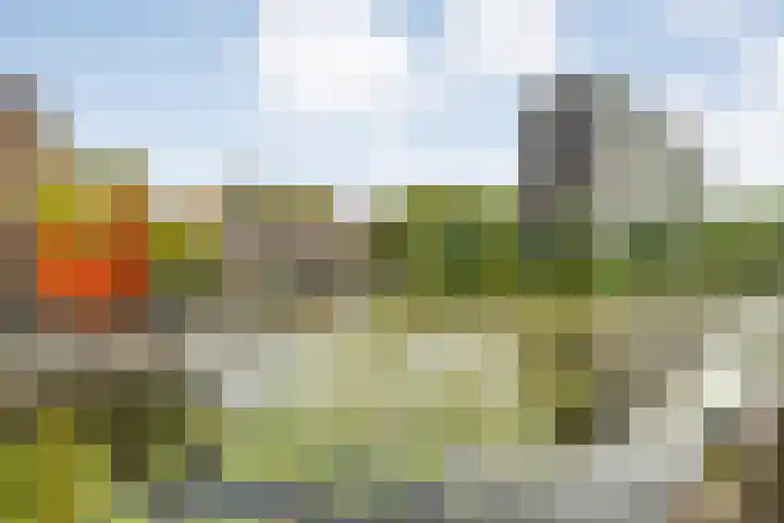 Verhulststraat 96 Zwolle thumbnail 43