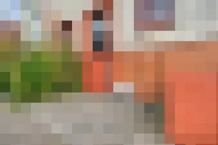 Verhulststraat 96 Zwolle thumbnail 46