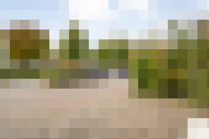Verhulststraat 96 Zwolle thumbnail 50