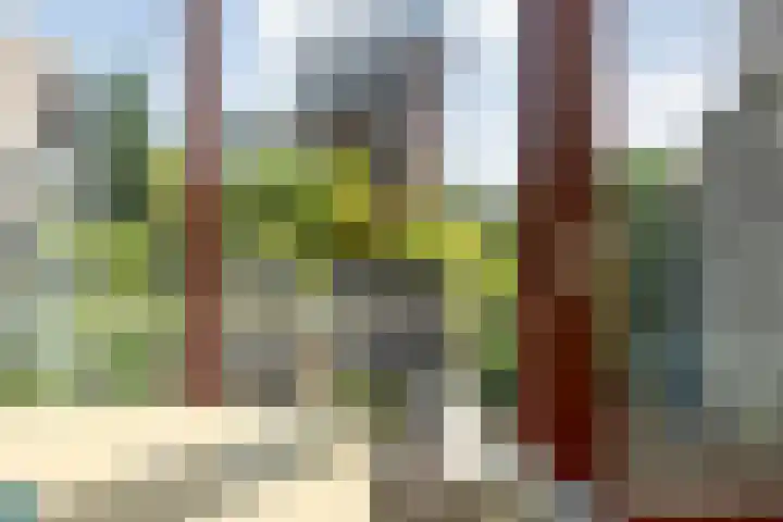 Verhulststraat 98 Zwolle thumbnail 14