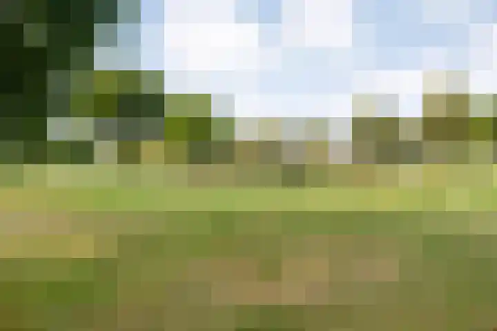 Verhulststraat 98 Zwolle thumbnail 37
