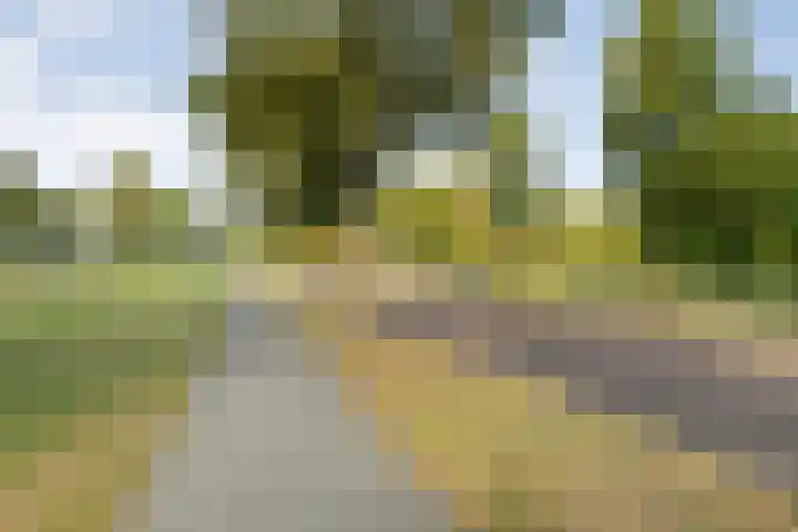 Verhulststraat 98 Zwolle thumbnail 38