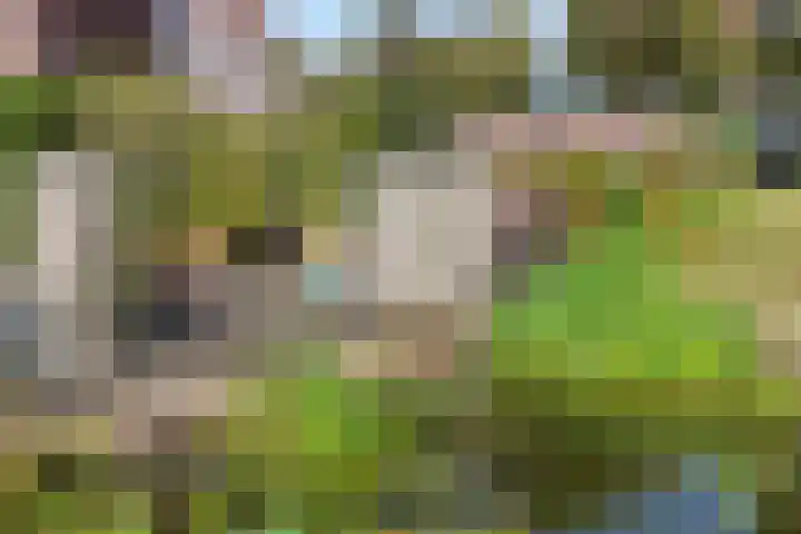 Verhulststraat 98 Zwolle thumbnail 39
