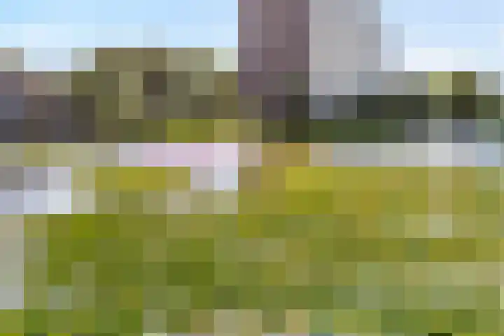 Verhulststraat 98 Zwolle thumbnail 40