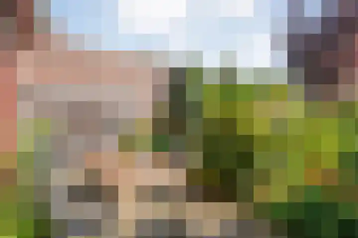 Verhulststraat 98 Zwolle thumbnail 42