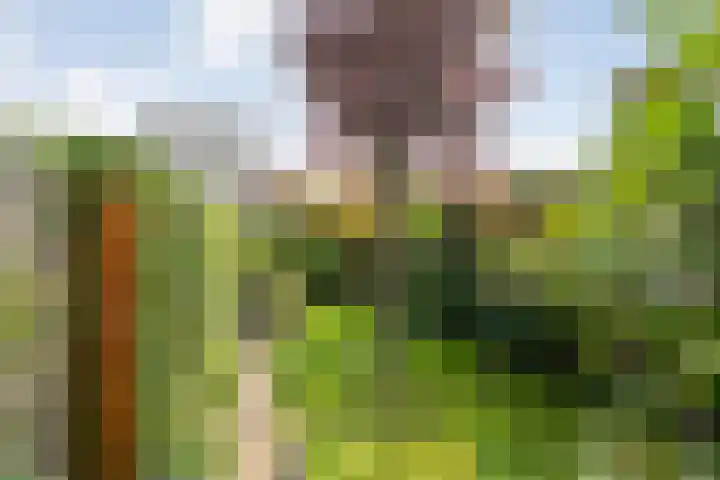 Verhulststraat 98 Zwolle thumbnail 43