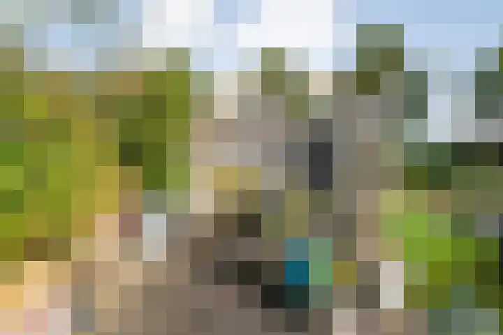 Verhulststraat 98 Zwolle thumbnail 46