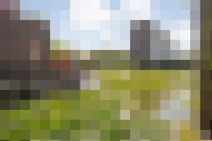 Verhulststraat 98 Zwolle thumbnail 47