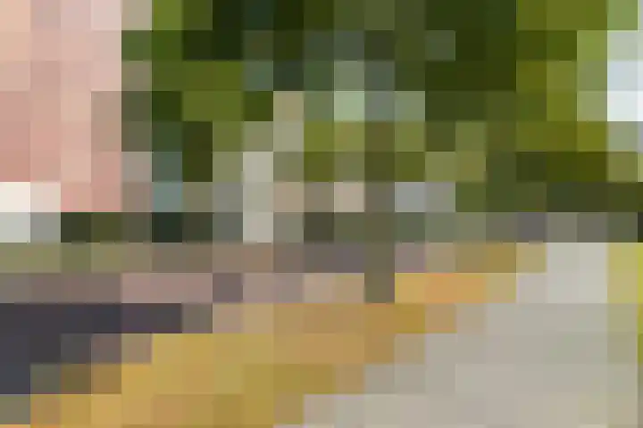 Verhulststraat 98 Zwolle thumbnail 5