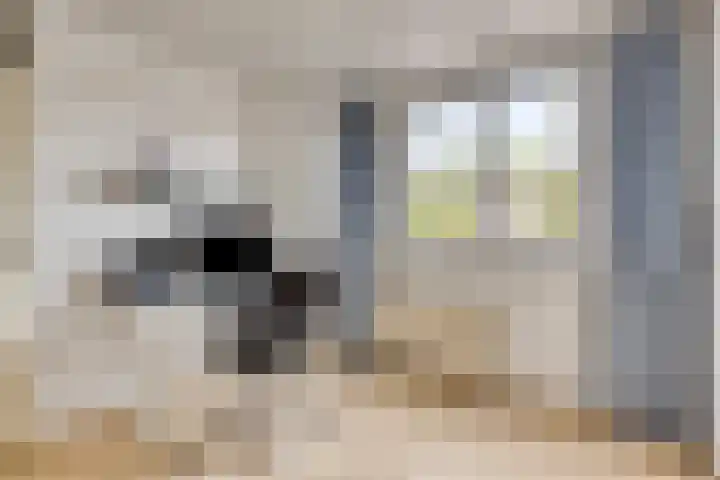 Verisstraat 10 Hoofddorp thumbnail 22