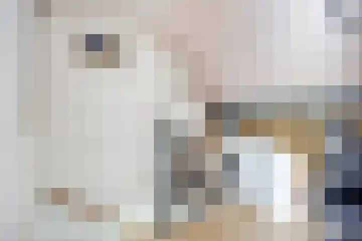 Verisstraat 10 Hoofddorp thumbnail 23
