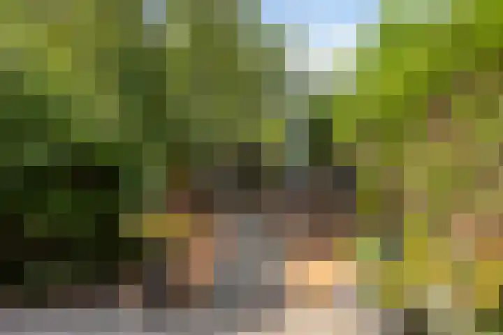 Verisstraat 10 Hoofddorp thumbnail 26