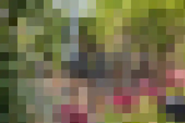 Verisstraat 10 Hoofddorp thumbnail 27