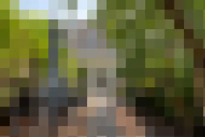 Verisstraat 10 Hoofddorp thumbnail 28