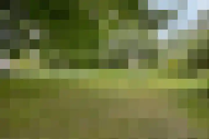 Verisstraat 10 Hoofddorp thumbnail 29
