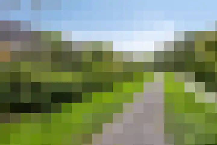 Verisstraat 10 Hoofddorp thumbnail 30