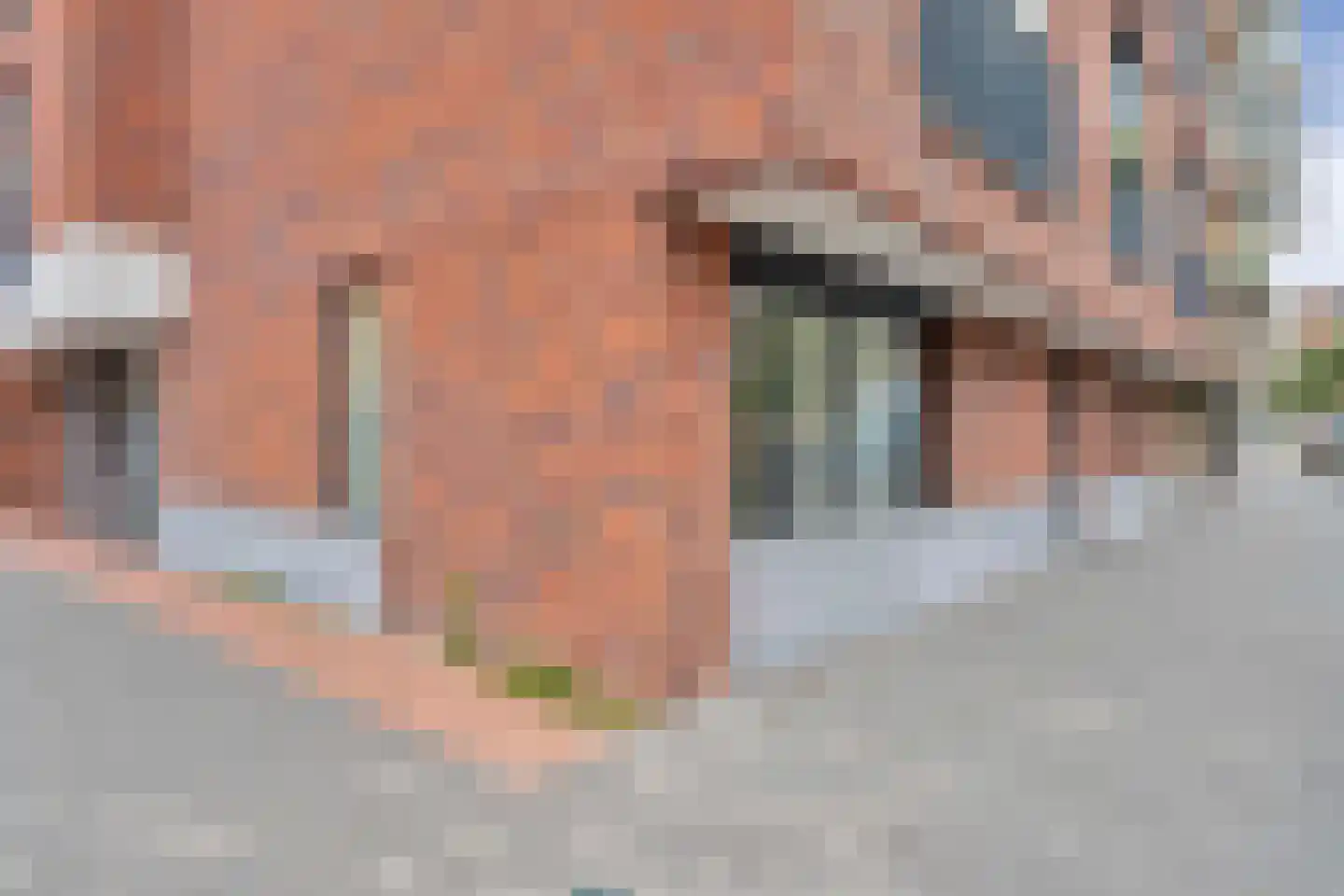 Verisstraat 166 Den Haag thumbnail 20