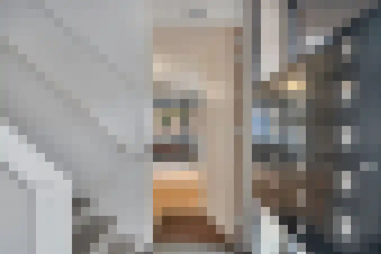 Verisstraat 166 Den Haag thumbnail 25