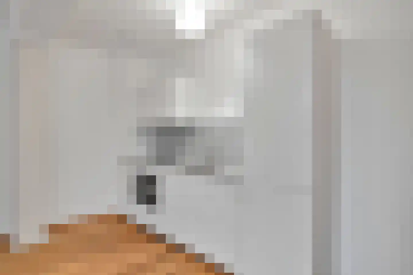 Verisstraat 166 Den Haag thumbnail 8