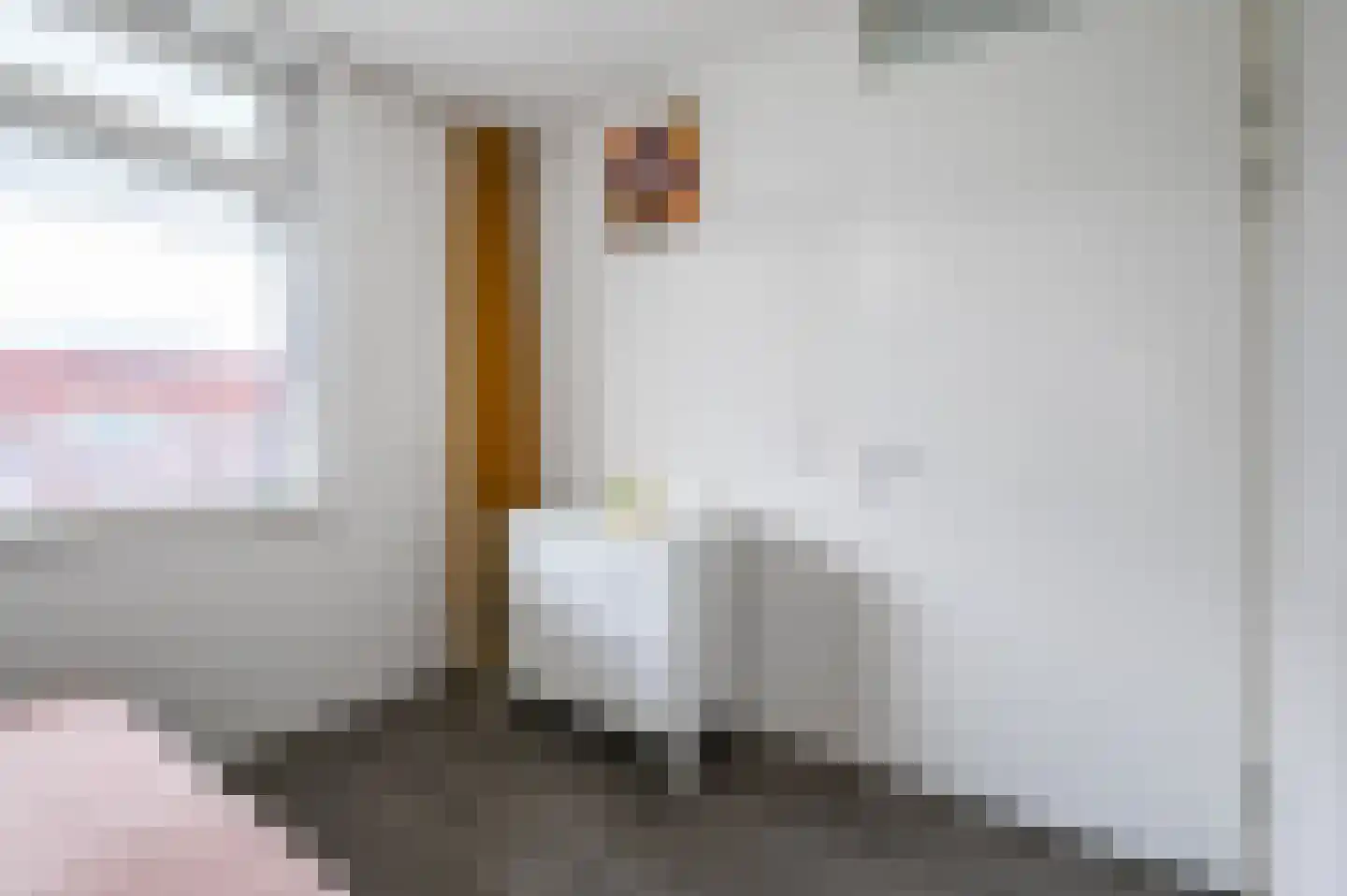 Verisstraat 26 Den Haag thumbnail 16