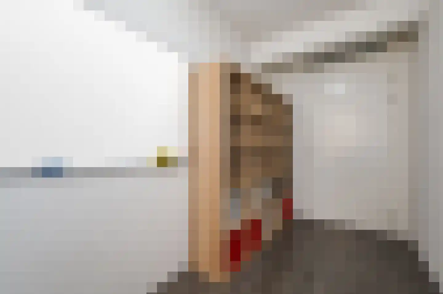 Verisstraat 26 Den Haag thumbnail 23