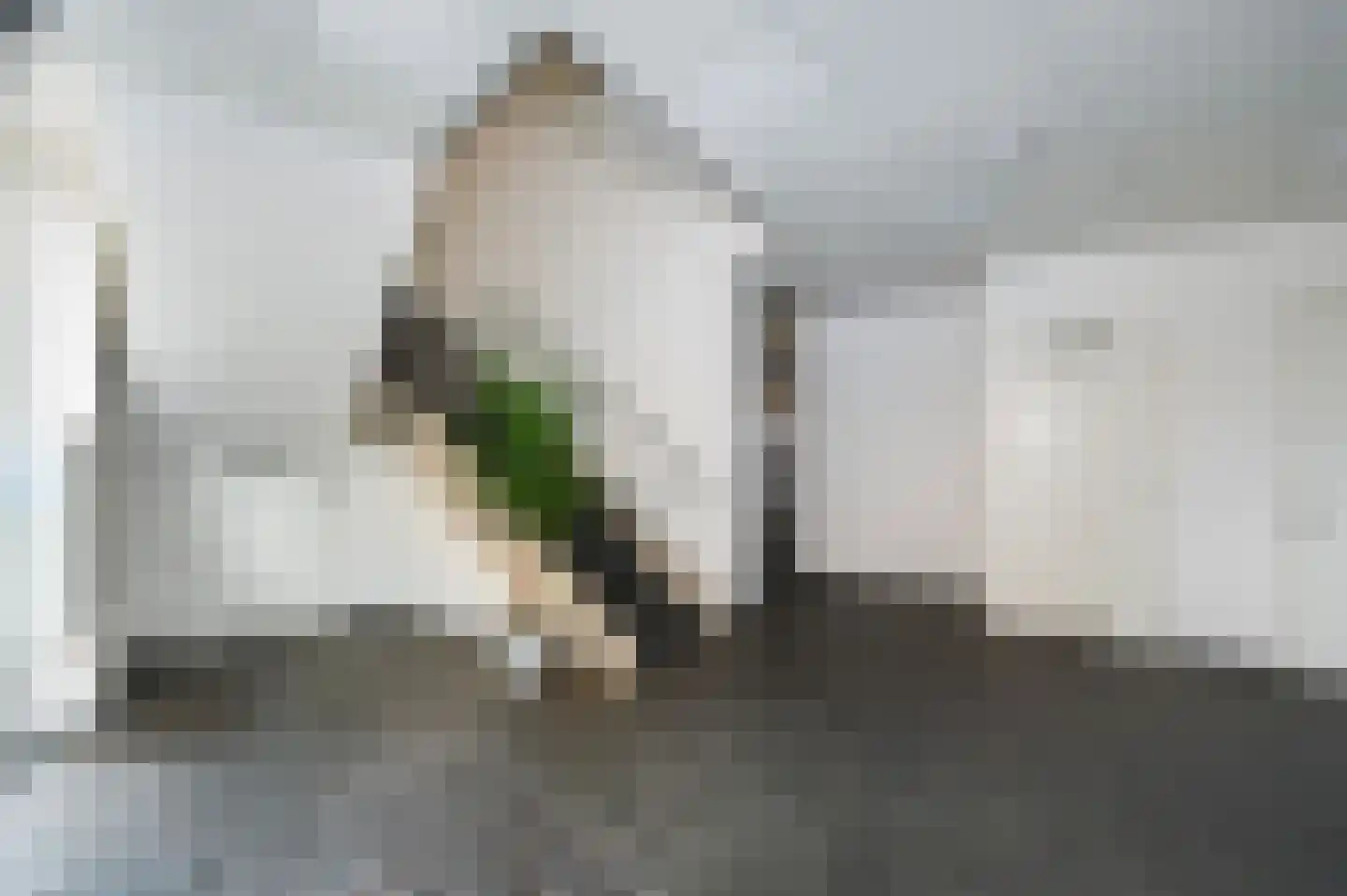Verisstraat 26 Den Haag thumbnail 31