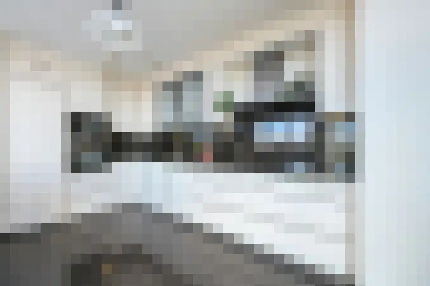 Verisstraat 26 Den Haag thumbnail 7