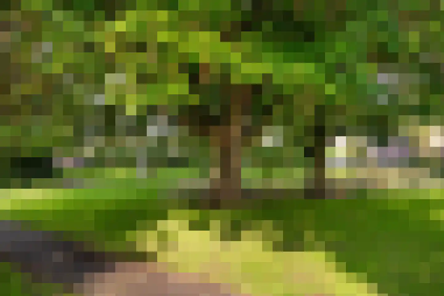 Verisstraat 41 Hoofddorp thumbnail 25