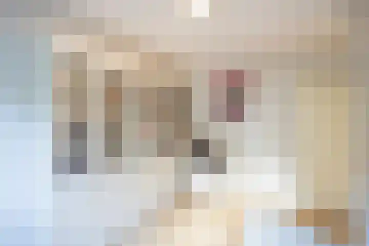 Verisstraat 43 Hoofddorp thumbnail 25