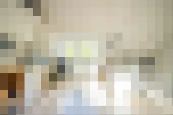 Verisstraat 43 Hoofddorp thumbnail 28