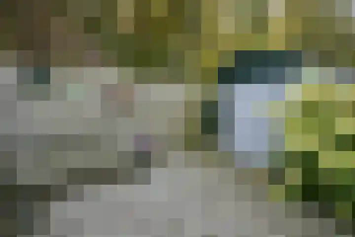 Verisstraat 43 Hoofddorp thumbnail 31