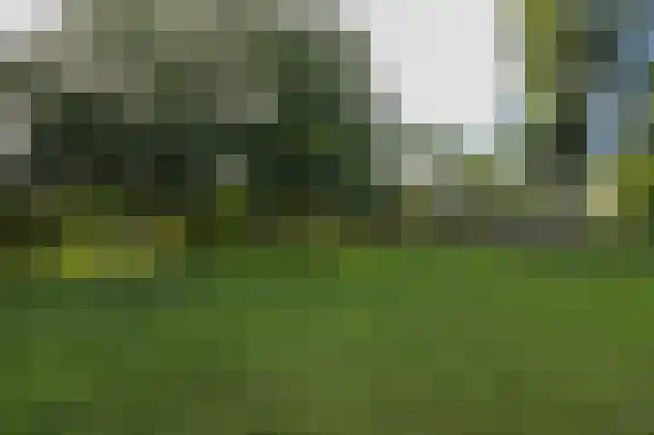 Verisstraat 43 Hoofddorp thumbnail 40