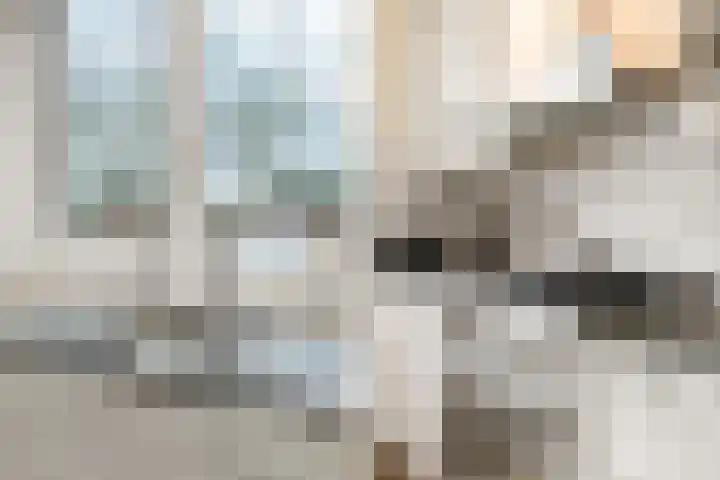 Verisstraat 63 Hoofddorp thumbnail 14